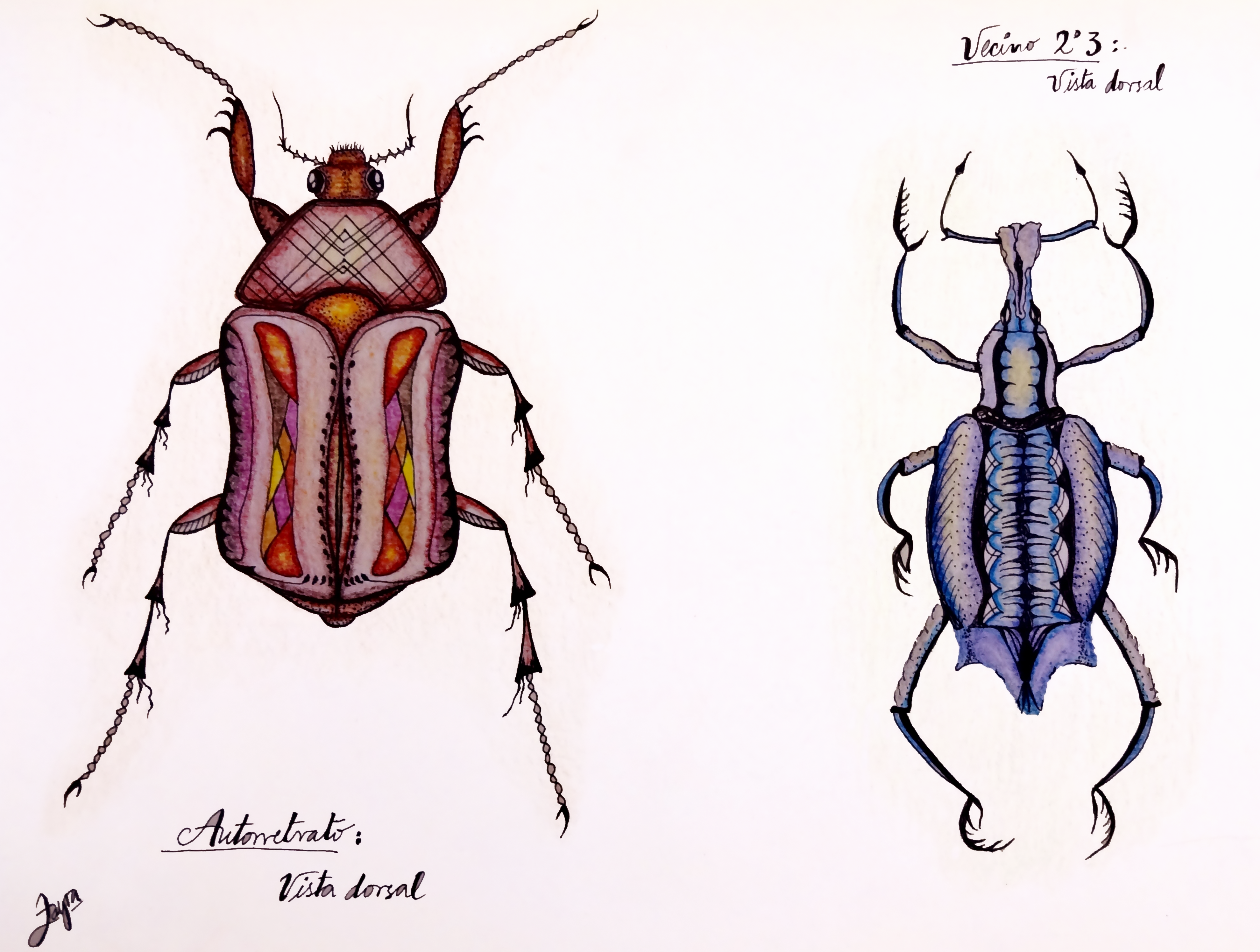 2013-escasez-convivencia