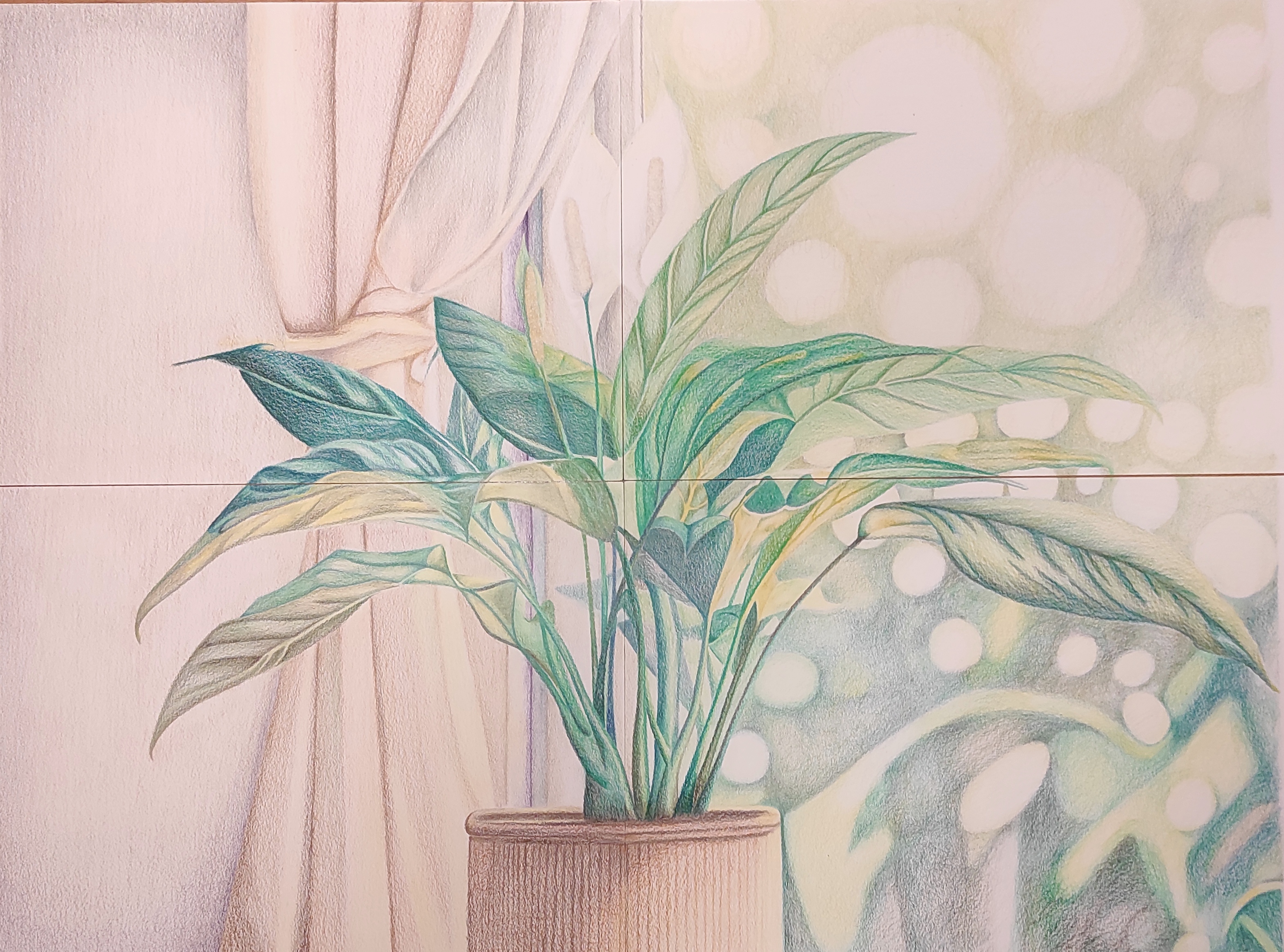 2023-renacer-botanicos-cala2