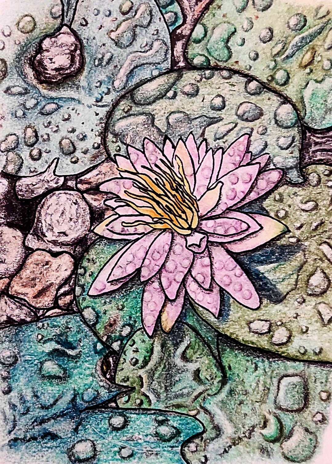 2023-renacer-botanicos-loto1