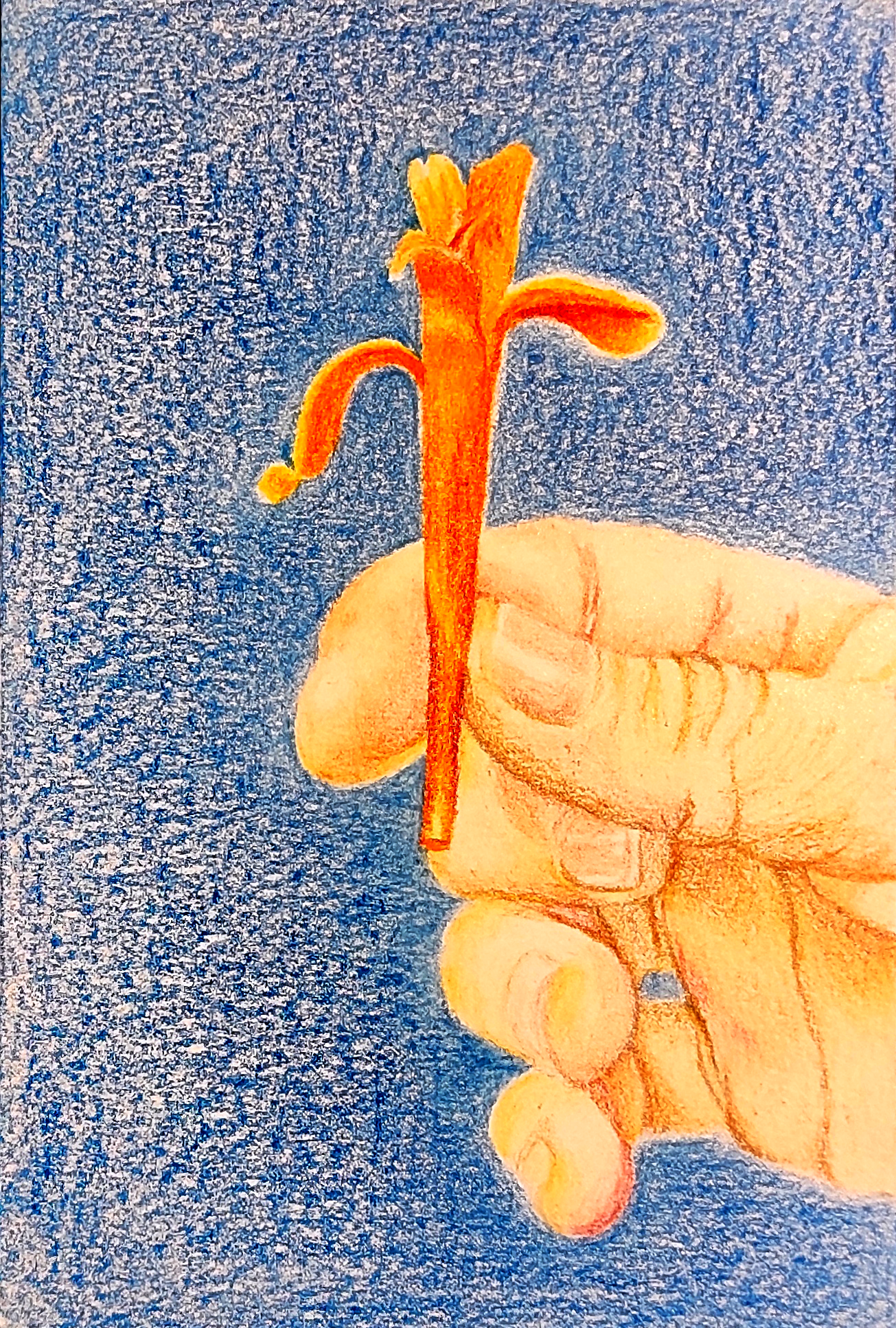 2023-renacer-nature-paredon