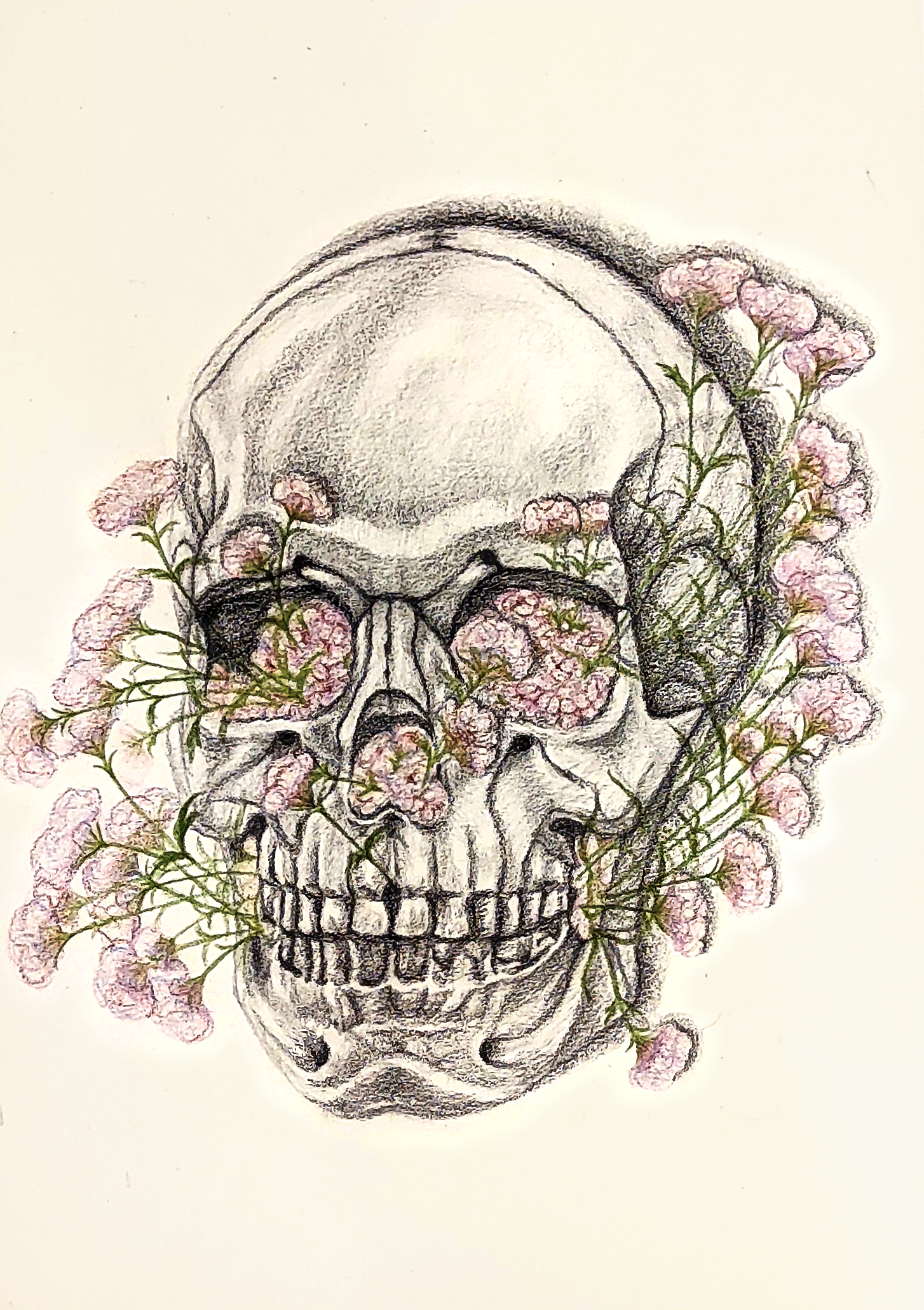 2023-renacer-recurrencia4