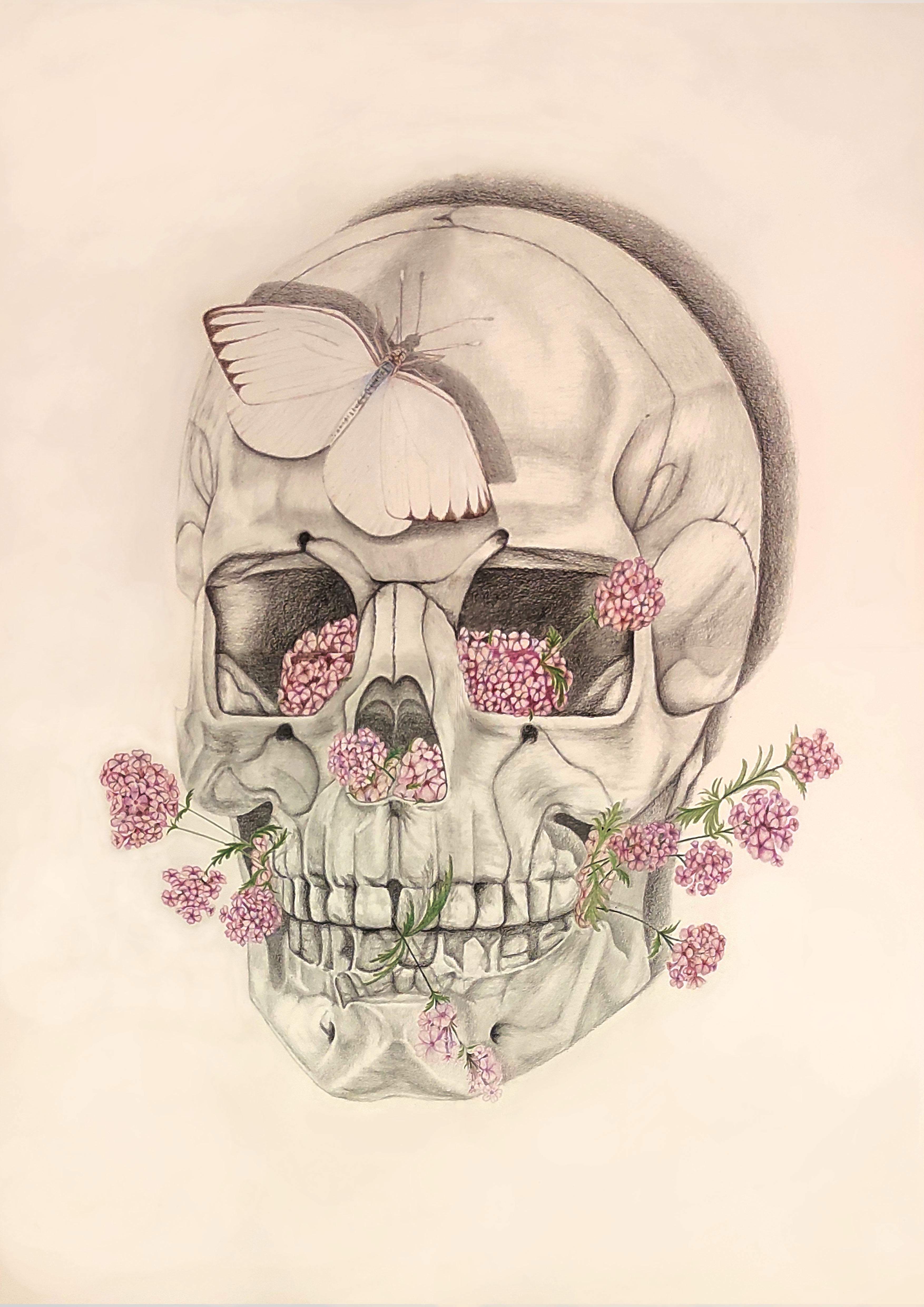 2023-renacer-recurrencia6